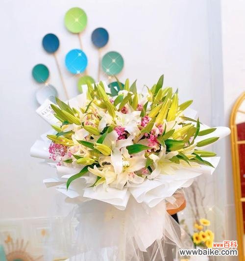 探寻白色百合花在不同文化背景中的象征意义 白色百合的花语