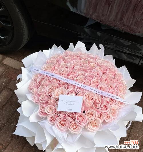 粉红雪山玫瑰代表什么花语？如何正确表达爱意？