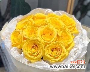 粉黄玫瑰花束代表什么花语?如何挑选寓意深刻的粉黄玫瑰?