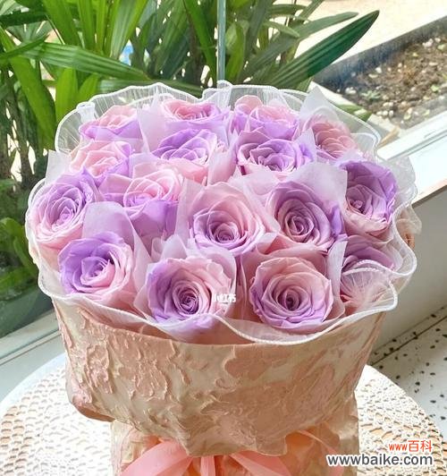 粉佳玫瑰代表什么意思？粉佳玫瑰的花语有哪些含义？