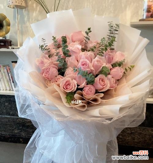 粉雪山玫瑰花语是什么？如何表达爱意？