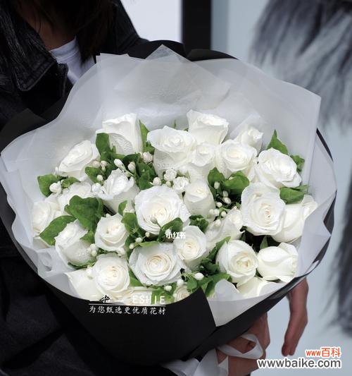 了解白玫瑰的花语，送给这些人更有心意 白玫瑰花语与适合赠送的人群剖析