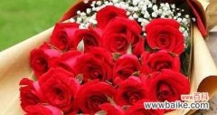 浪漫爱情的花语 11朵玫瑰寓意及象征意义