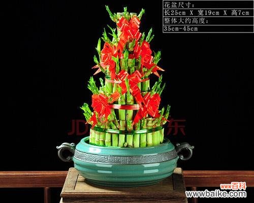 富贵竹塔几层寓意最好?如何摆放提升风水?