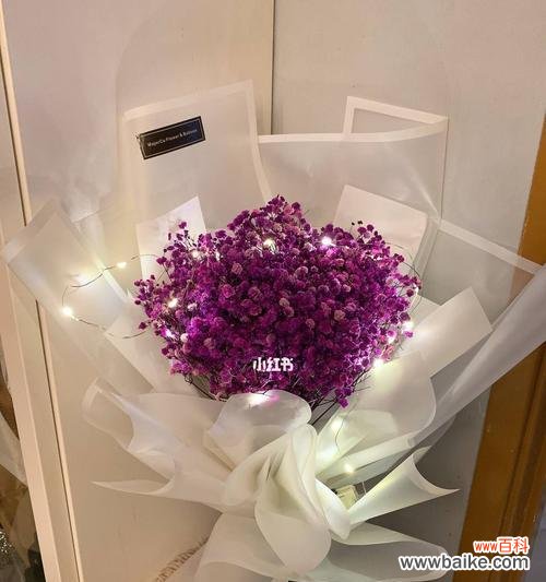 满天星花语是什么意思?如何正确解读满天星的花语含义?