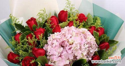 浪漫的爱情告白 十一朵玫瑰的花语