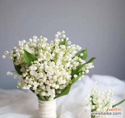 探秘铃兰花背后的意义 铃兰花花语解析