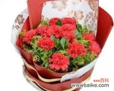 红色康乃馨的浪漫与热情 红色康乃馨花语与寓意