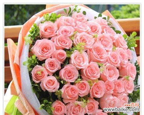 传递爱的深情，感受纯洁的爱 探秘戴安娜玫瑰的花语