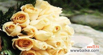 解读玫瑰花的各种含义 玫瑰花的花语