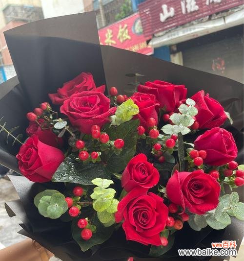 黑红玫瑰花花语是什么?如何正确解读黑红玫瑰的含义?