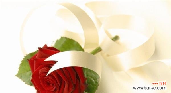 黑红玫瑰花花语是什么?如何正确解读黑红玫瑰的含义?