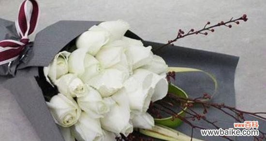 唯美的象征、美丽的心意与纯洁的爱 白玫瑰花语与寓意