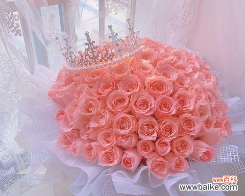 红玫瑰和粉玫瑰分别代表什么花语？如何正确选择玫瑰表达情感？