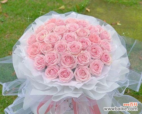 红玫瑰和粉玫瑰分别代表什么花语？如何正确选择玫瑰表达情感？