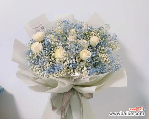 探究满天星花的文化内涵 满天星花的意义与象征