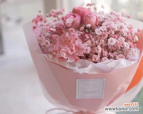 探究满天星花的文化内涵 满天星花的意义与象征