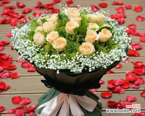 解读玫瑰的不同寓意,引导送花的正确方式 19朵玫瑰花语的深刻含义