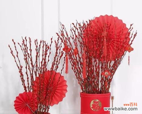 探寻银柳的神秘之美 银柳的花语与寓意