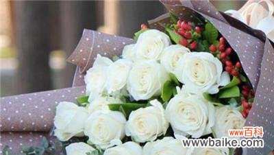 探究白玫瑰的花语和寓意 白玫瑰——纯洁之花