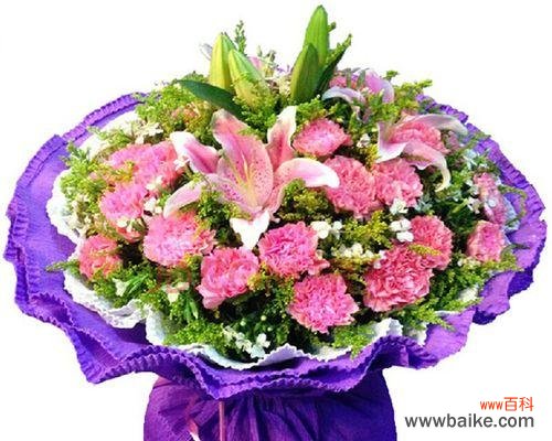 探究康乃馨在情感交流中的象征意义 男朋友送康乃馨的意义