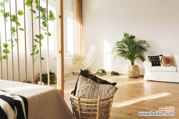 猴头菇怎么吃，什么人不适合吃