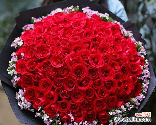 从几朵玫瑰送出的不同寓意出发 玫瑰代表的含义