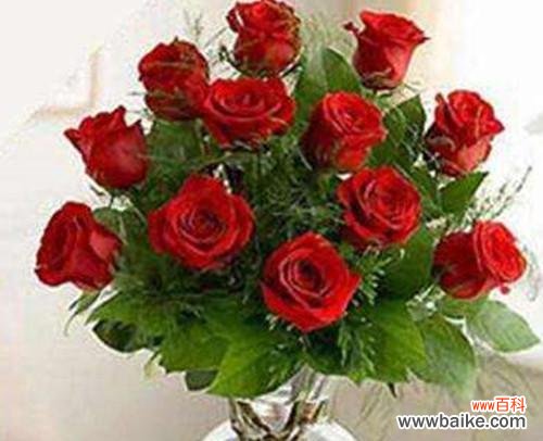 从几朵玫瑰送出的不同寓意出发 玫瑰代表的含义