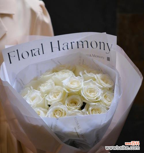 揭秘送白玫瑰的含义与文化背景 白玫瑰的神秘力量