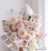 康乃馨花的含义是什么？不同颜色代表什么意义？