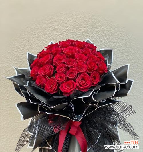 几支玫瑰代表的含义 玫瑰花语