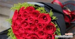 几支玫瑰代表的含义 玫瑰花语