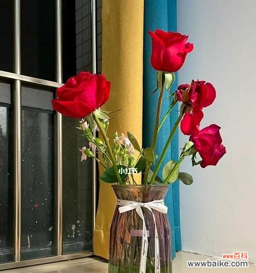 探讨44朵玫瑰花背后的深刻含义 44朵玫瑰花的寓意