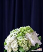 探寻玫瑰花背后的意义，让你更懂得送花 不同颜色玫瑰花语解析