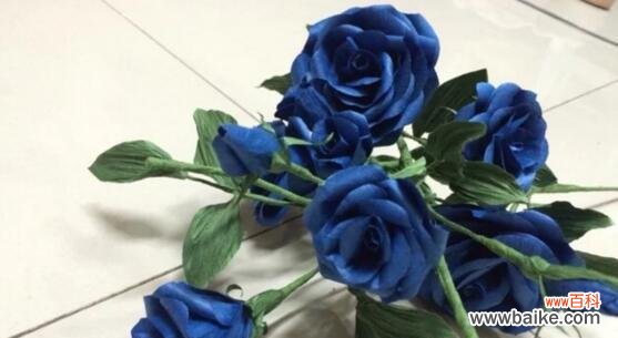 蓝色月季花语是什么？如何正确表达爱意？