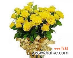 探究黄玫瑰所代表的含义 黄玫瑰花的寓意