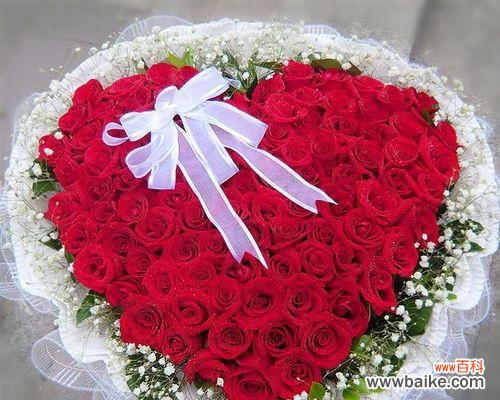 从花数看情感的细腻与深刻 送玫瑰花朵数的含义