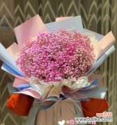 满天星代表色有哪些含义和常见问题？