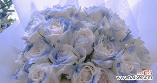 玫瑰的玫是什么意思?花语含义有哪些疑问解答?