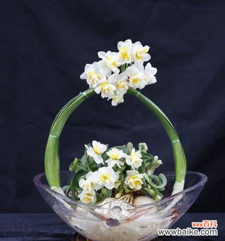 水仙雕刻技艺的意义是什么？如何传承这一传统艺术？