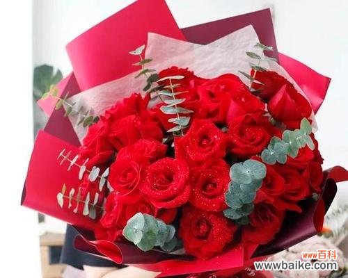 传递浓浓爱意的花语意义 十九朵玫瑰花的花语