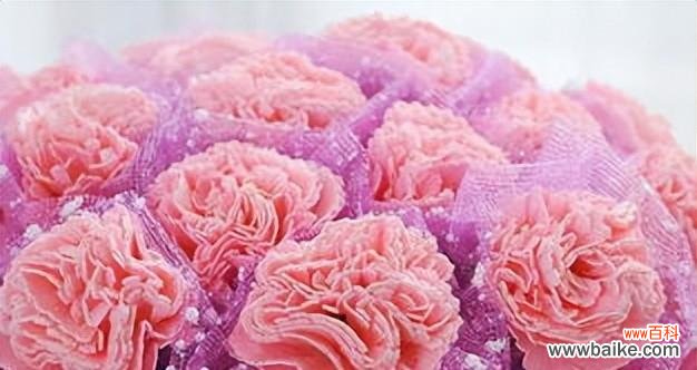 探究红色康乃馨的历史背景和文化涵义 红色康乃馨的象征意义