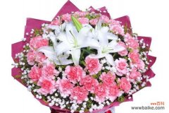 探究红色康乃馨的历史背景和文化涵义 红色康乃馨的象征意义