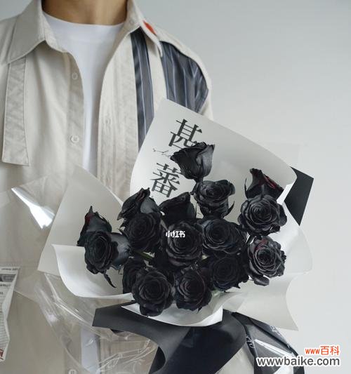 探寻黑玫瑰的神秘与浪漫 黑玫瑰花语解析