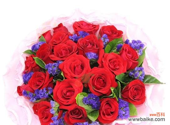 玫瑰花的花期是什么意思?如何判断玫瑰的最佳观赏期?