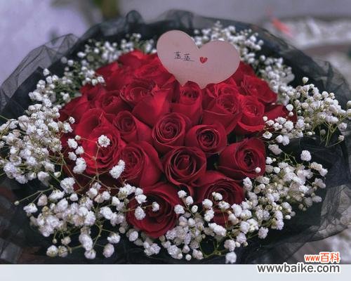 探秘不同数量的玫瑰花所代表的含义 几朵玫瑰花的象征意义