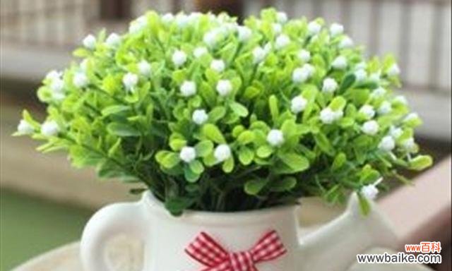 米兰花语象征与寓意是什么?米兰花的寓意有哪些常见问题?