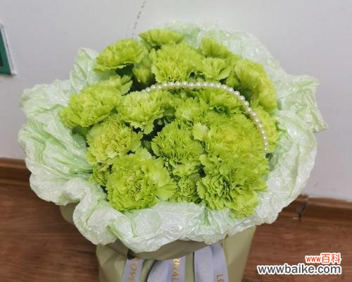 传递新生与希望的花语 绿色康乃馨花语解析