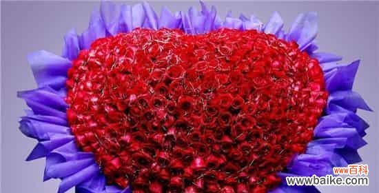 解读不同朵数的玫瑰，了解情感的含义 玫瑰花朵数的含义