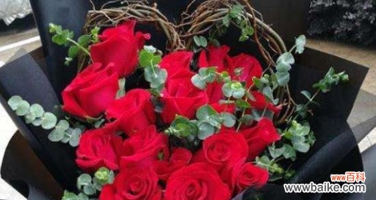 探索玫瑰花背后的情感和象征 送玫瑰花的含义